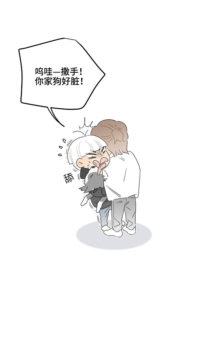 40 暴雨中的生日会32