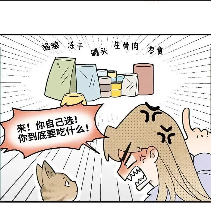 番外 裴心养猫记13