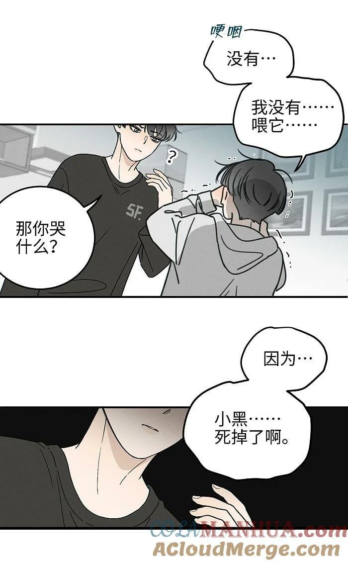 65 有好好哭过吗？28