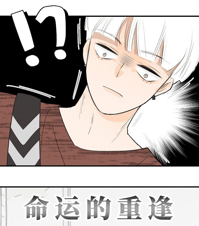26 命运的重逢5