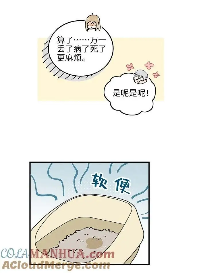 番外 裴心养猫记6