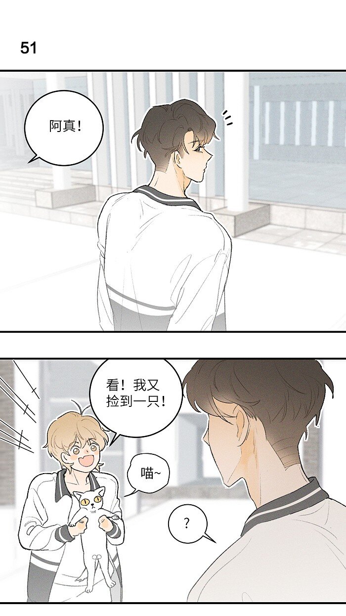 24 领养2