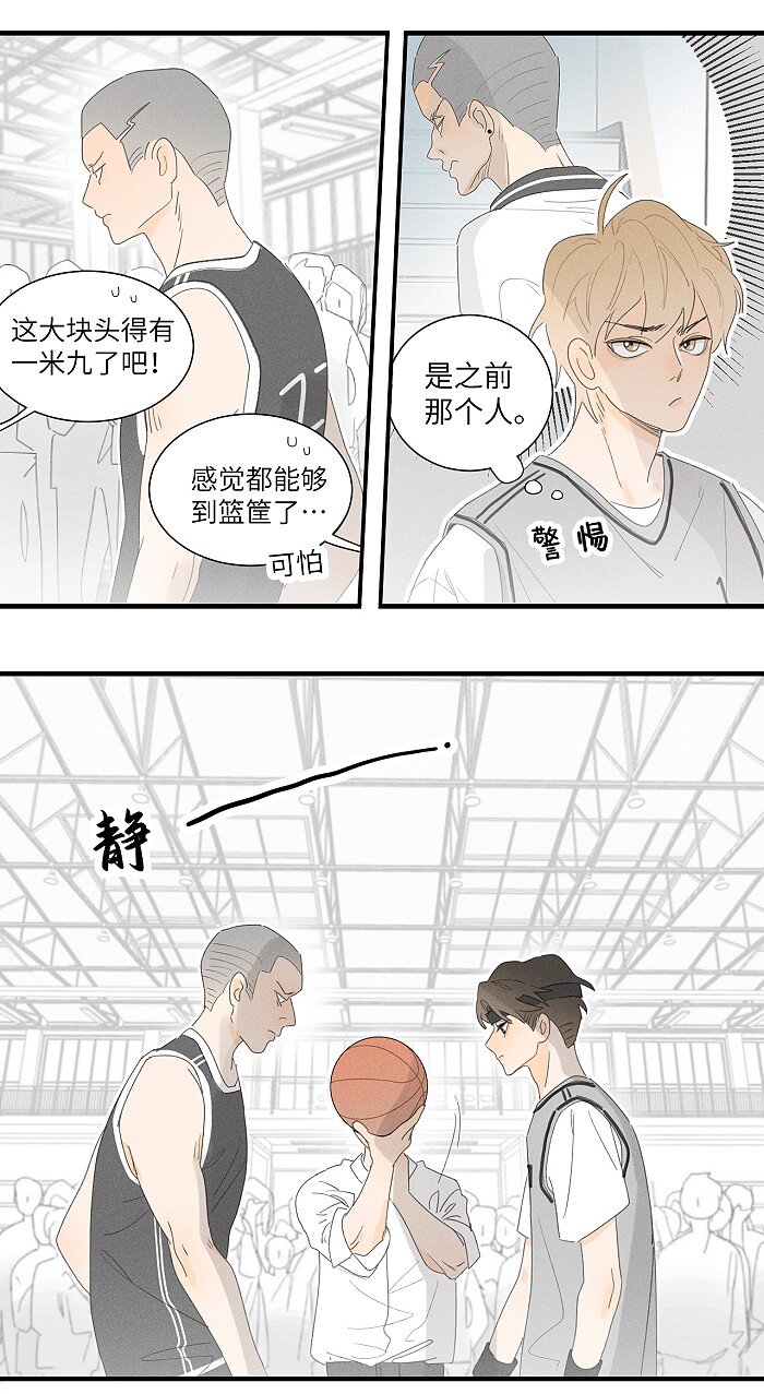 36 篮球赛12