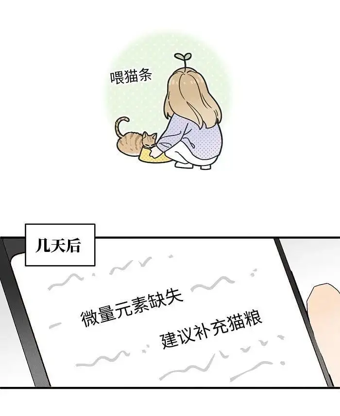 番外 裴心养猫记11