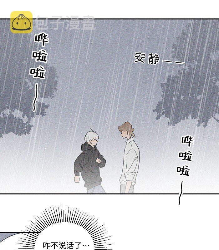 41 家里白菜被拱了！7