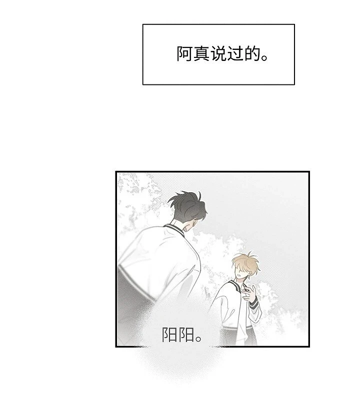 61 飞鸟27