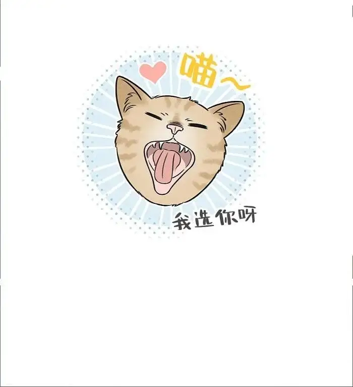 番外 裴心养猫记15