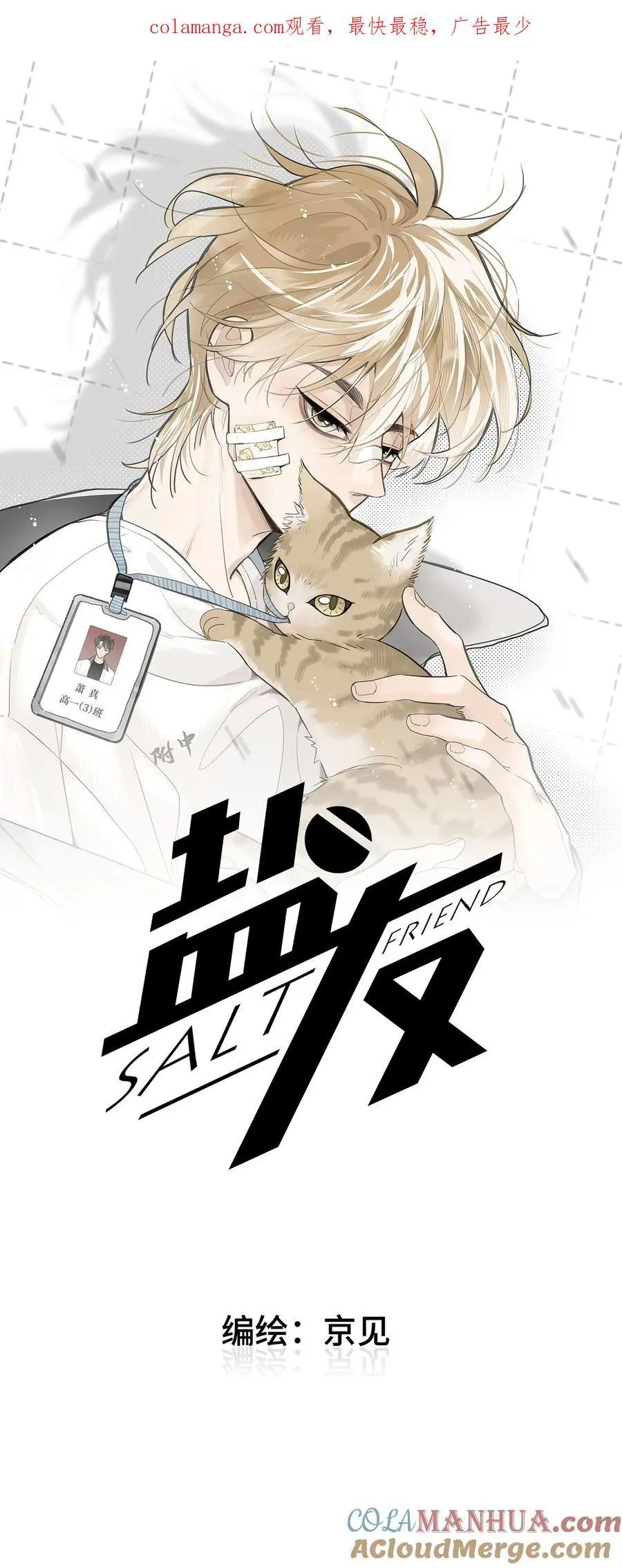番外 裴心养猫记0