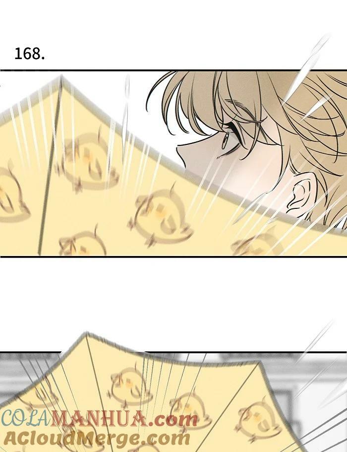 68 为什么没下雨还有人打伞26