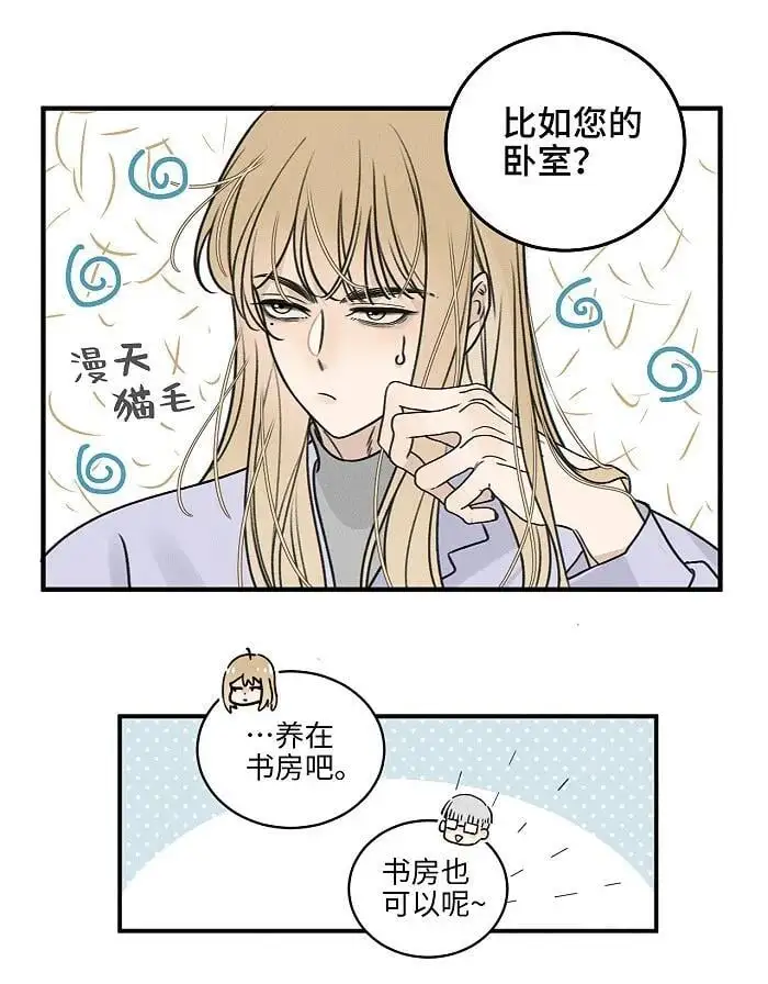 番外 裴心养猫记3