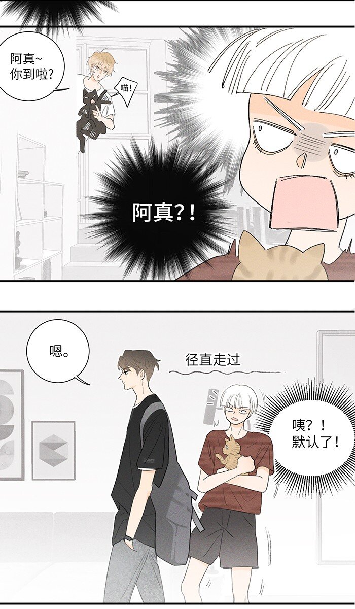 28 弟弟的误会11