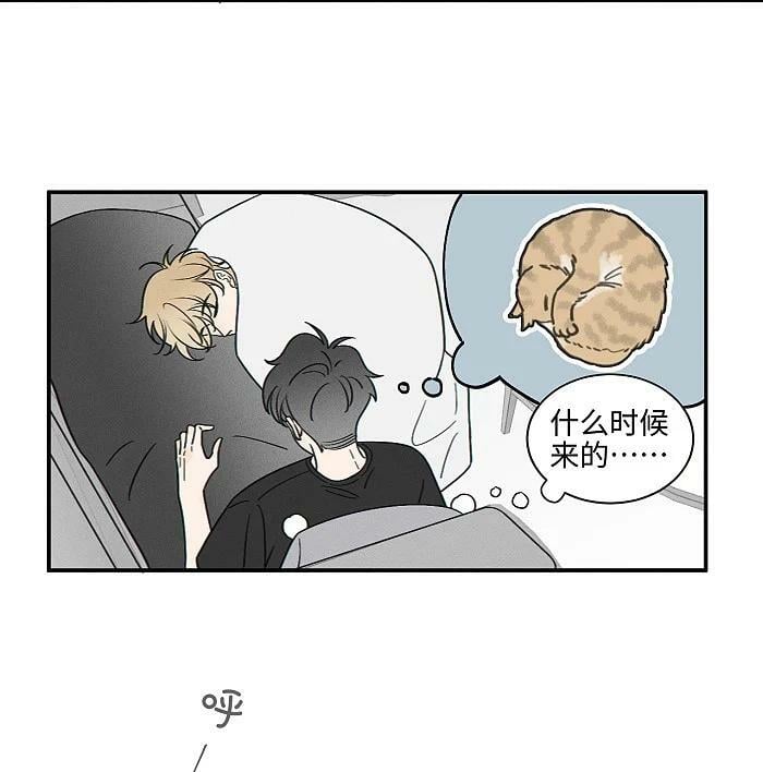 68 为什么没下雨还有人打伞13