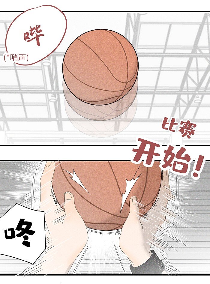 36 篮球赛13