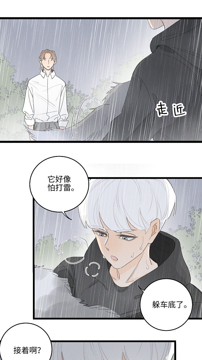 40 暴雨中的生日会28