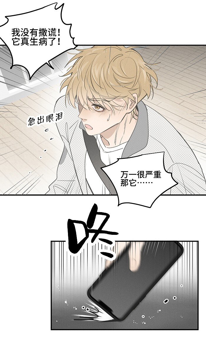 56 谁是萧真？10