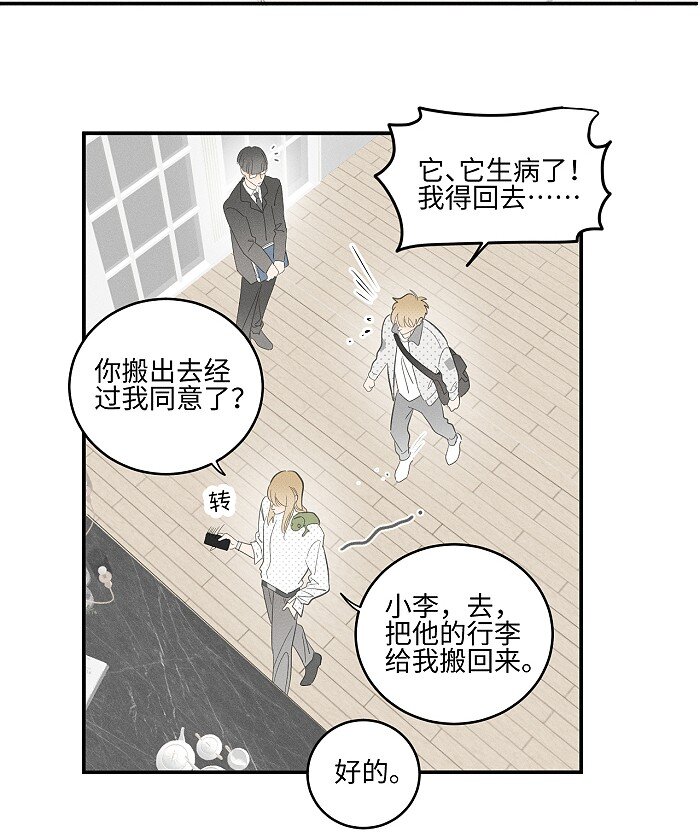 56 谁是萧真？9