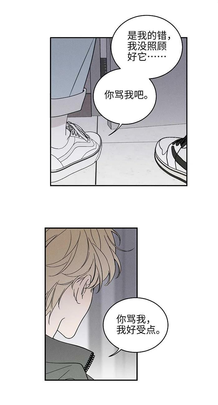 65 有好好哭过吗？33