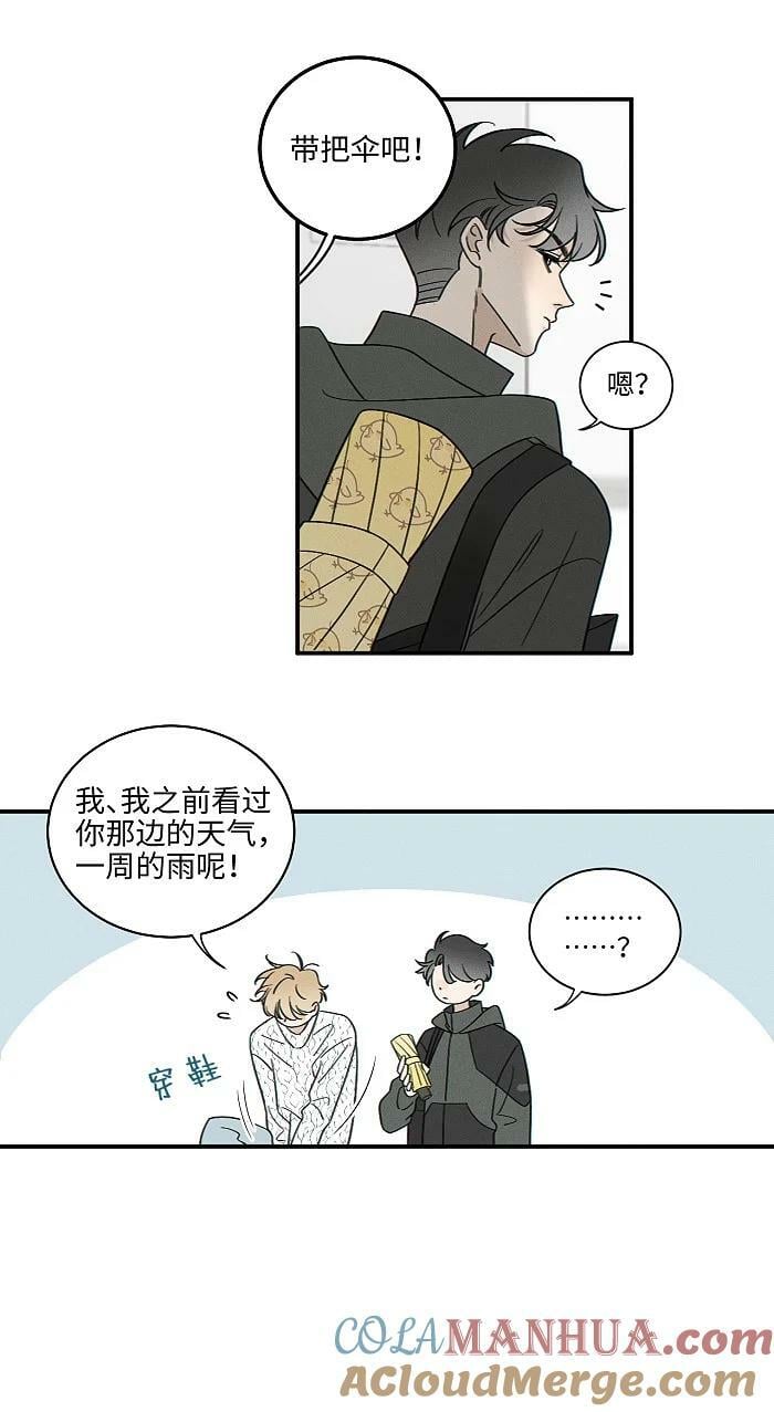 68 为什么没下雨还有人打伞18