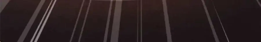 196 舍身一击109