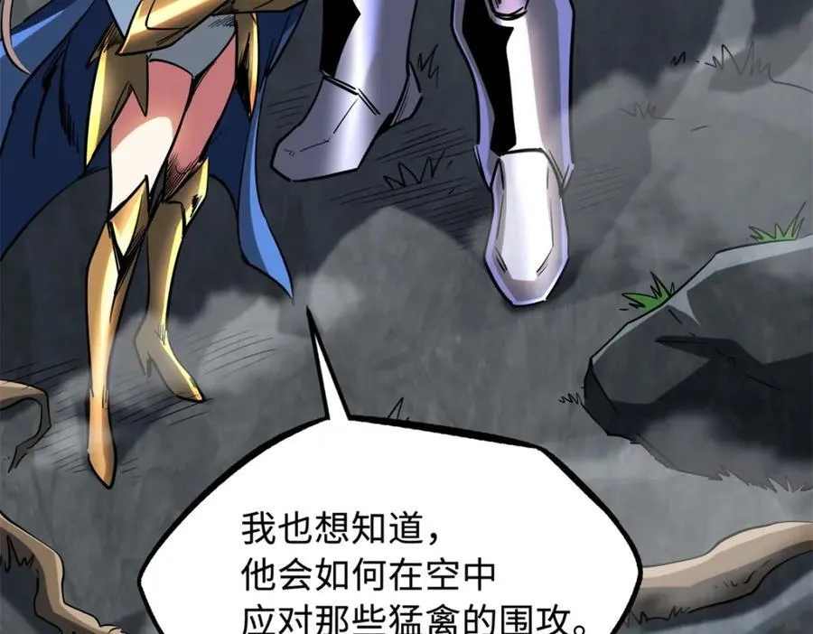216 冲天隼王78