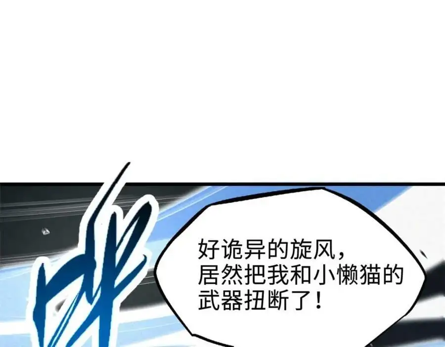 205 白虎御风110
