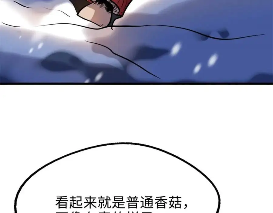 198 红色香菇59