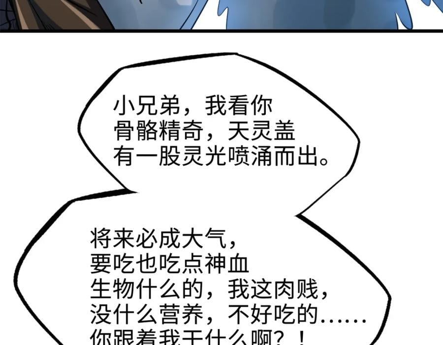 186 卵生狐狸98