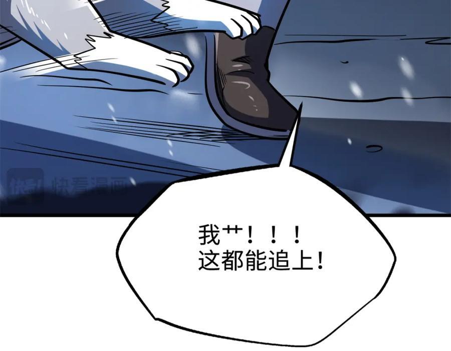 186 卵生狐狸123