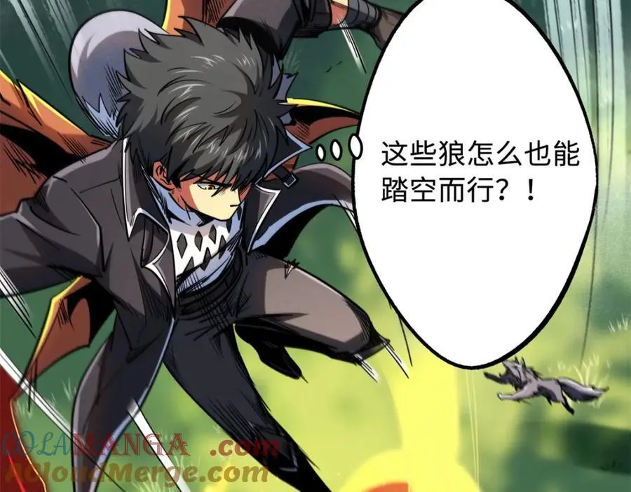 231 狼王128