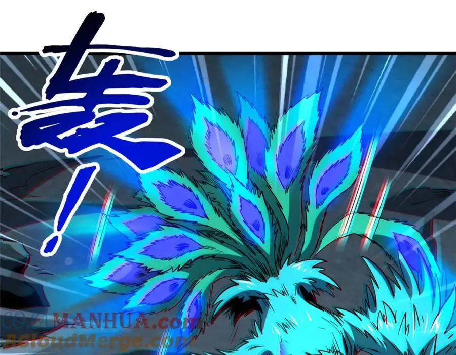 211 不期而遇的珍宝116