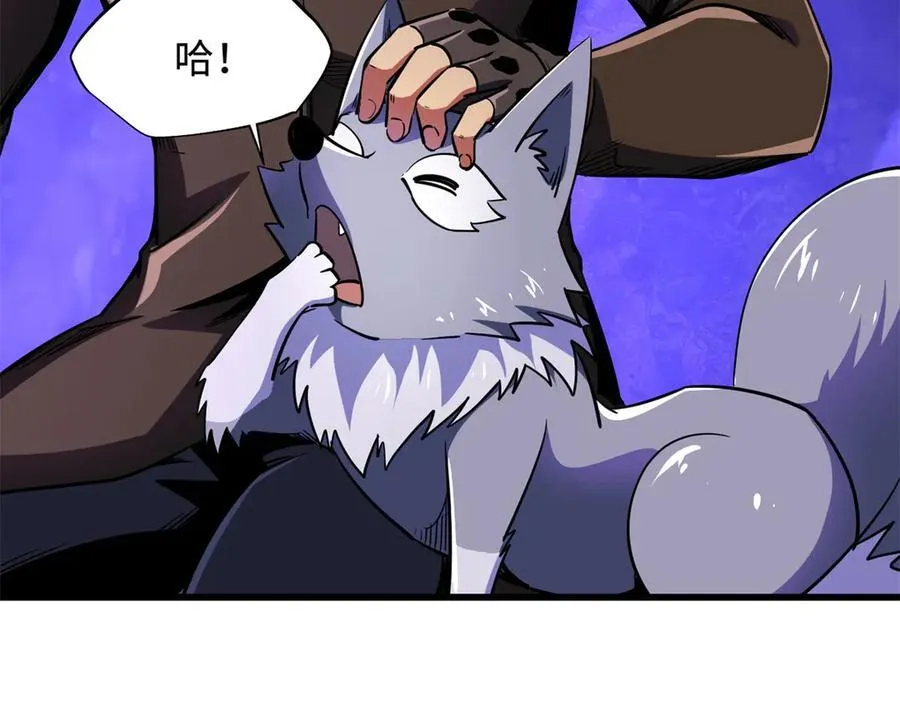 248 Z钢原石14