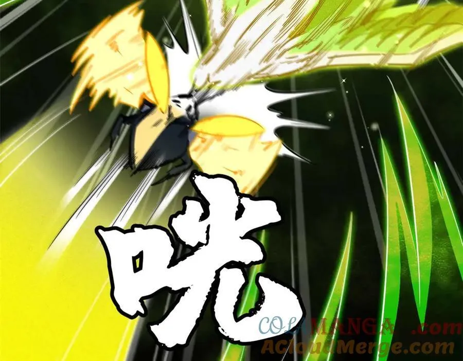 245 重重杀机156