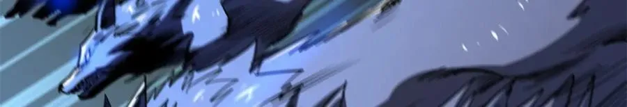 231 狼王111