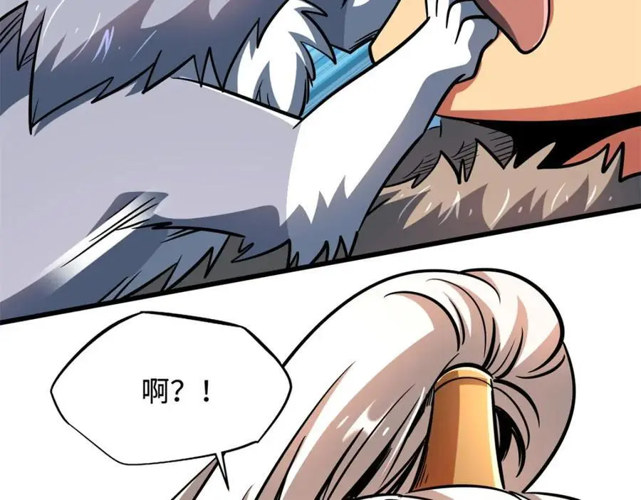 207 七叶莲花74