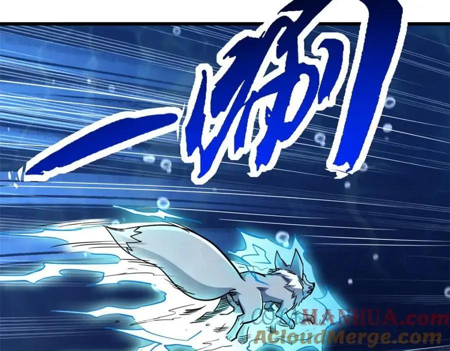 212 刺杀孔雀72