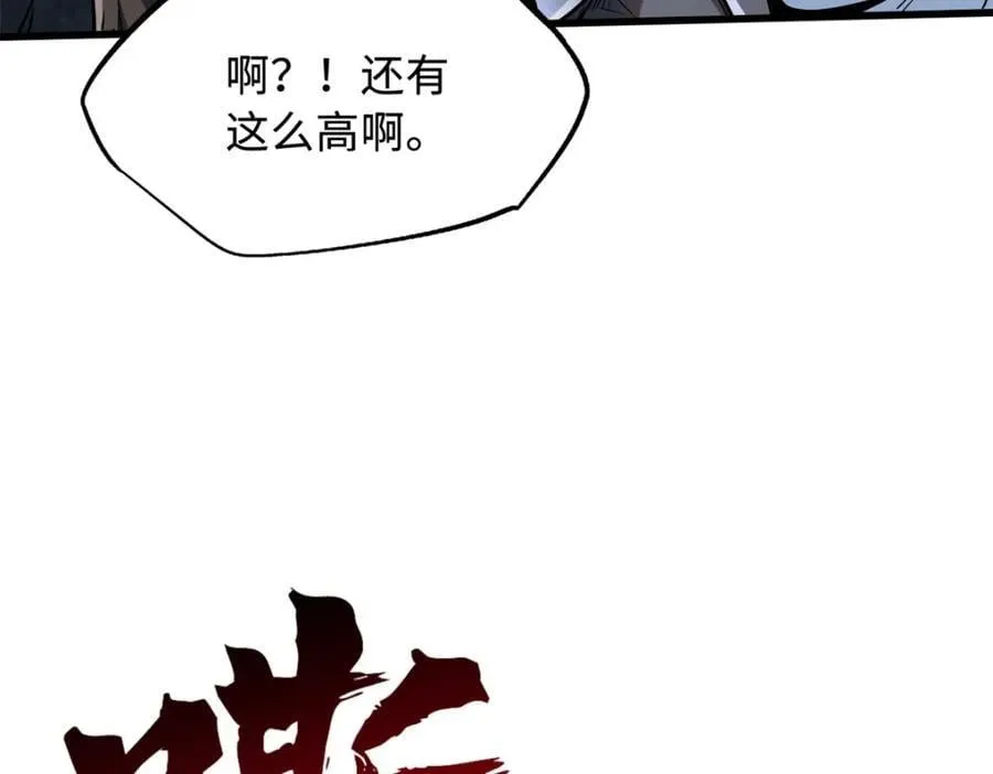 216 冲天隼王9