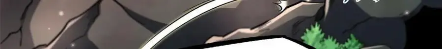 211 不期而遇的珍宝7