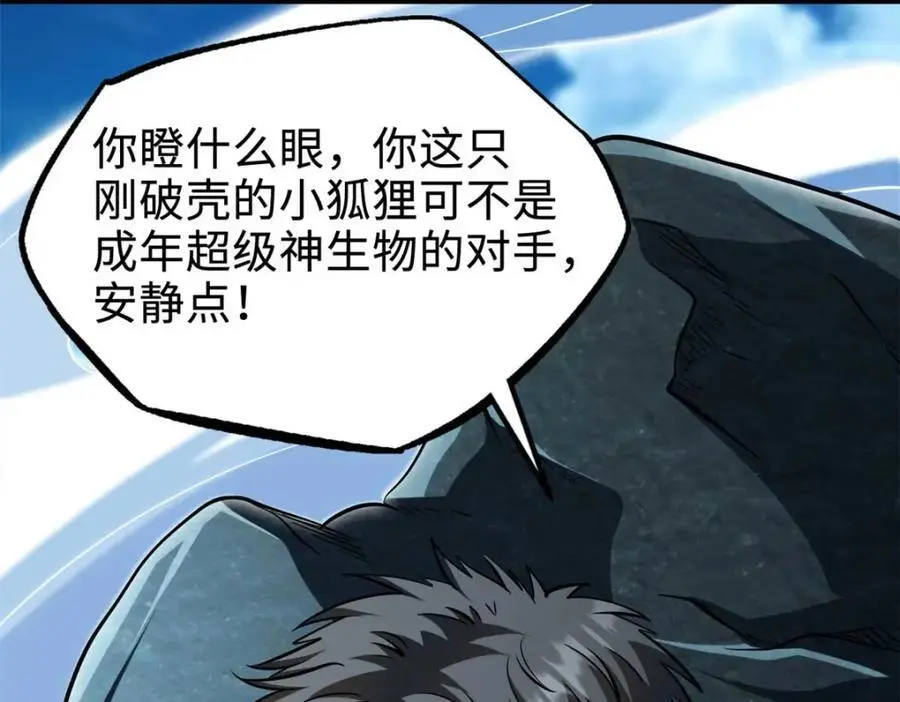 205 白虎御风45
