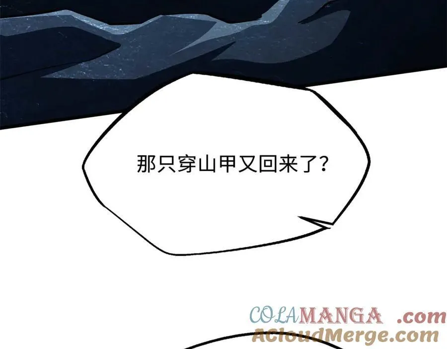 250 蚁巢120