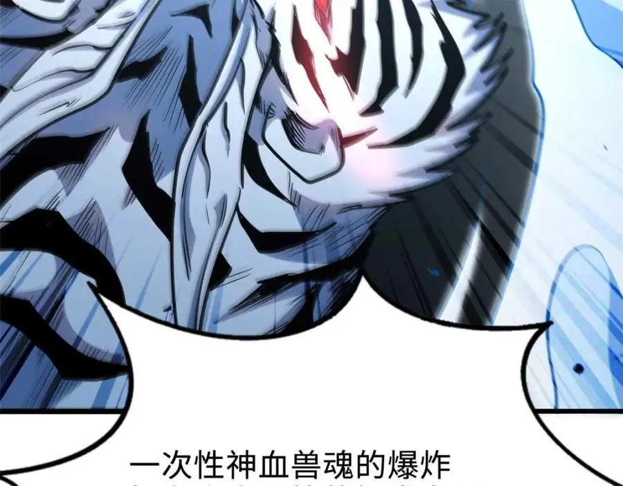 205 白虎御风137