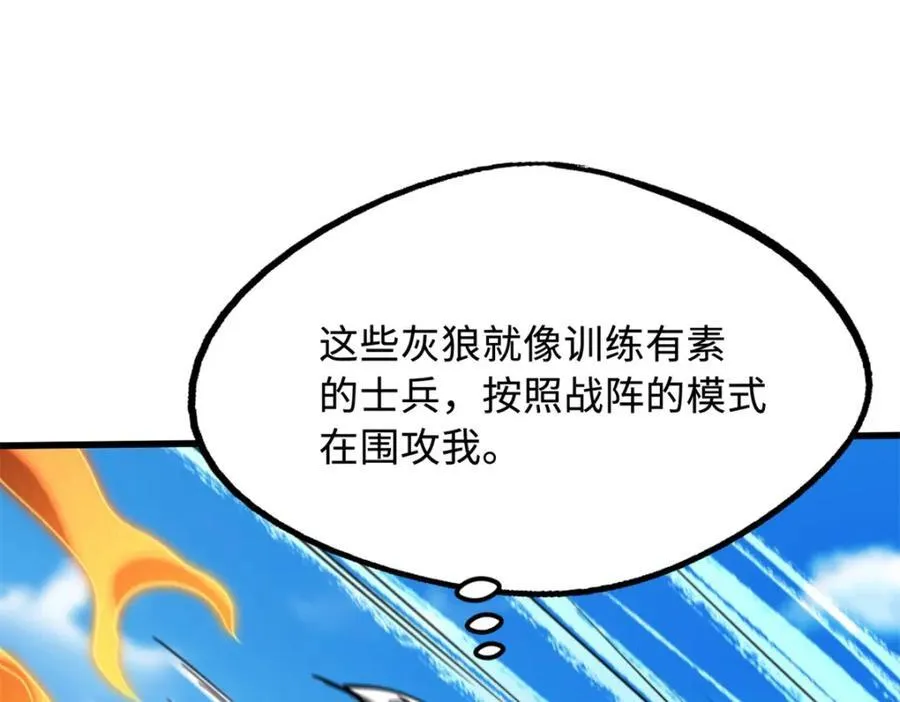 231 狼王138