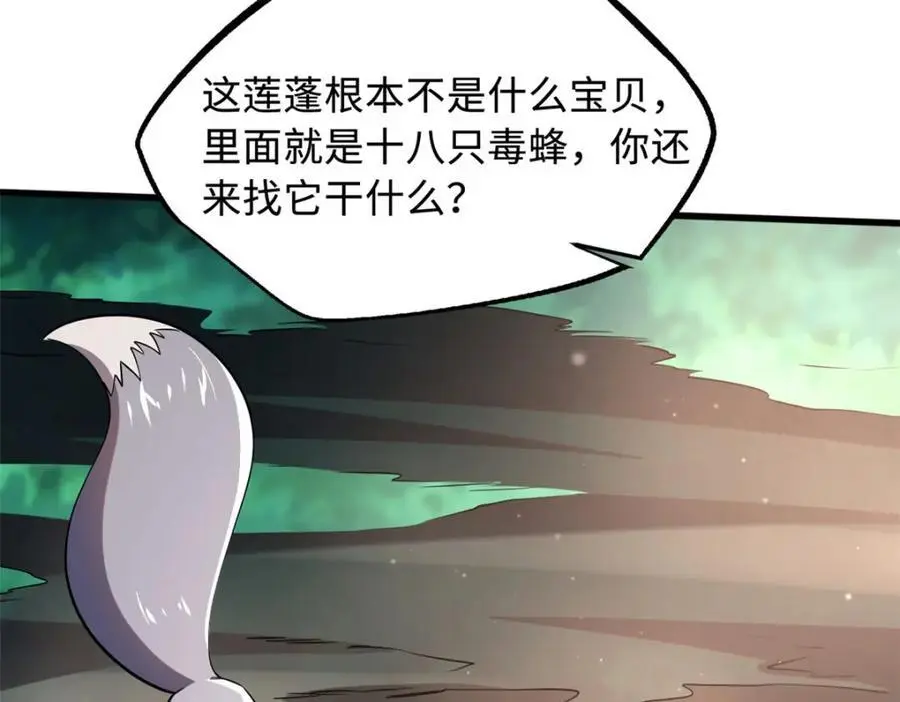 211 不期而遇的珍宝15