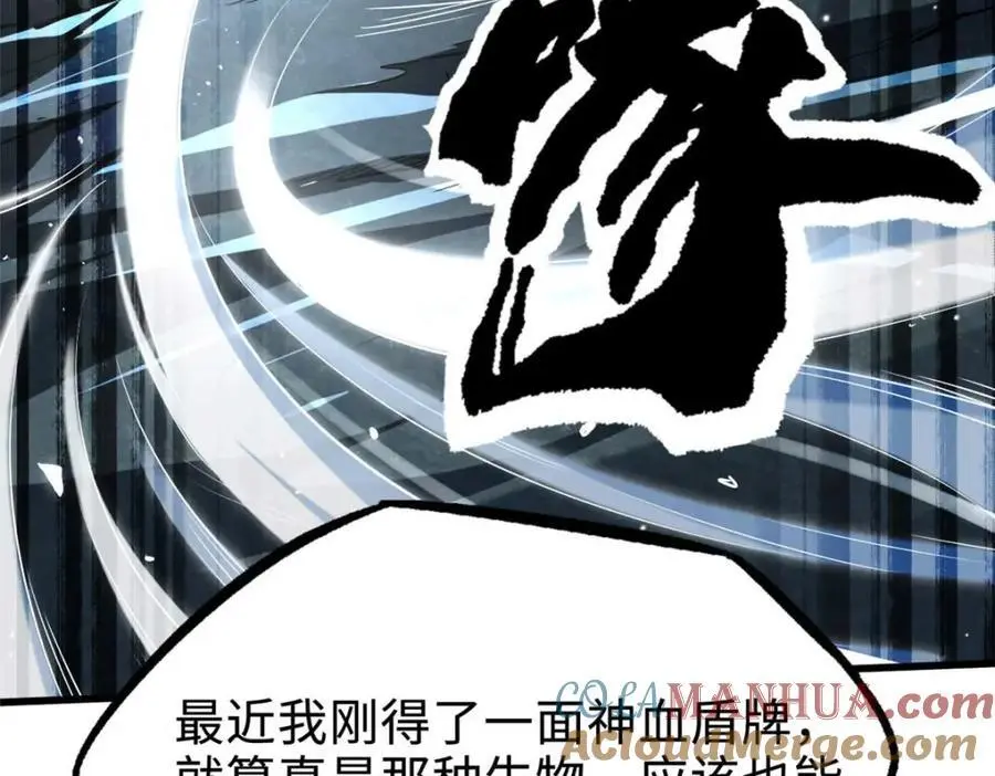 205 白虎御风20