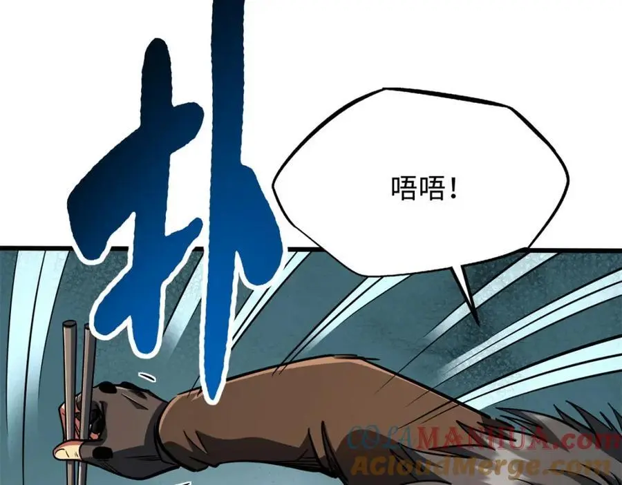 207 七叶莲花64