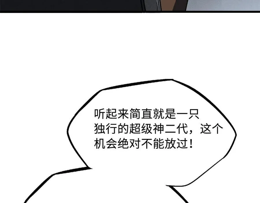 248 Z钢原石101
