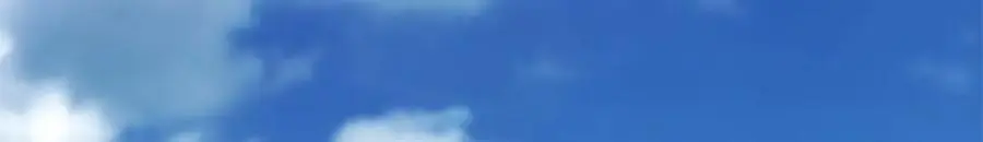 207 七叶莲花137