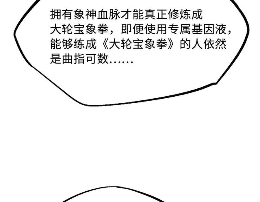252 大轮宝象拳143