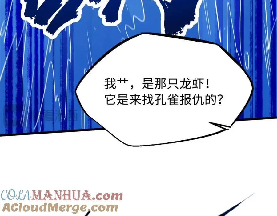 211 不期而遇的珍宝104