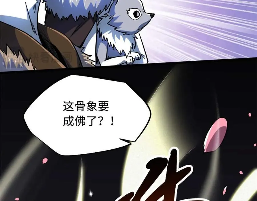230 桃花圣树21