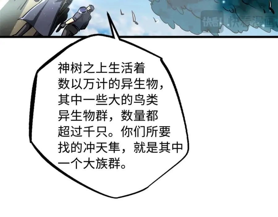 216 冲天隼王50